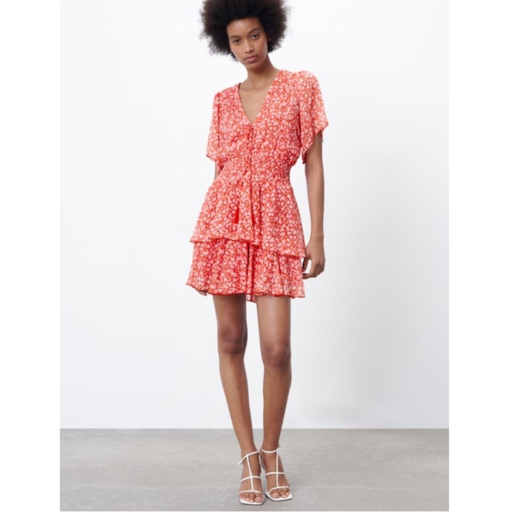 Zara Ruffled Printed Mini Dress